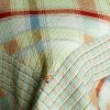 [Forever Sky] 3PC Cotton Vermicelli-Quilted Printed Quilt Set (Full/Queen Size)